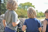 Kinder gucken Tieren an auf dem Bauernhof